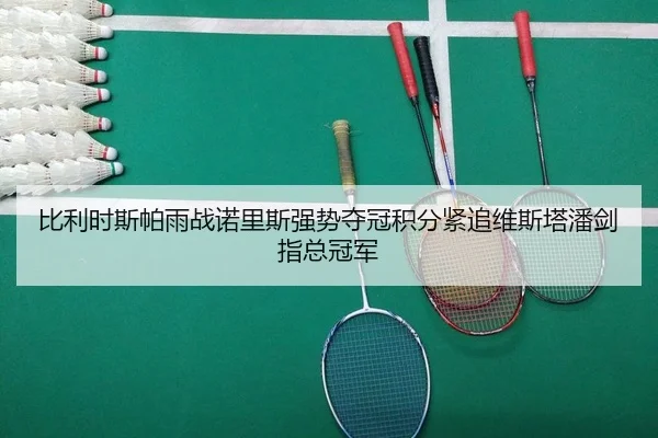 bi-li-shi-si-pa-yu-zhan-nuo-li-si-qiang-shi-duo-guan-ji-fen-jin-zhui-wei-si-ta-pan-jian-zhi-zong-guan-jun-2-596.jpg